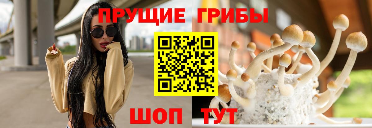 Псилоцибиновые грибы прущие грибы  Галлюциногенные грибы Magic Shrooms  Вход с VPN  Чапаевск 